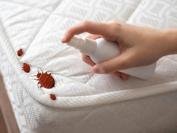 Best Emergency Pest Control  in Prophetstown, IL